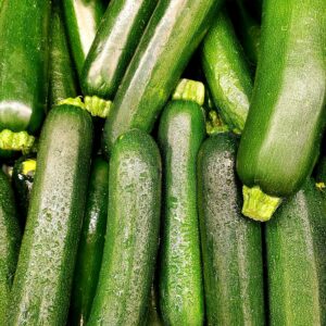 Courgette Verte