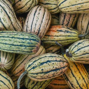 Courgette 'Delicata'